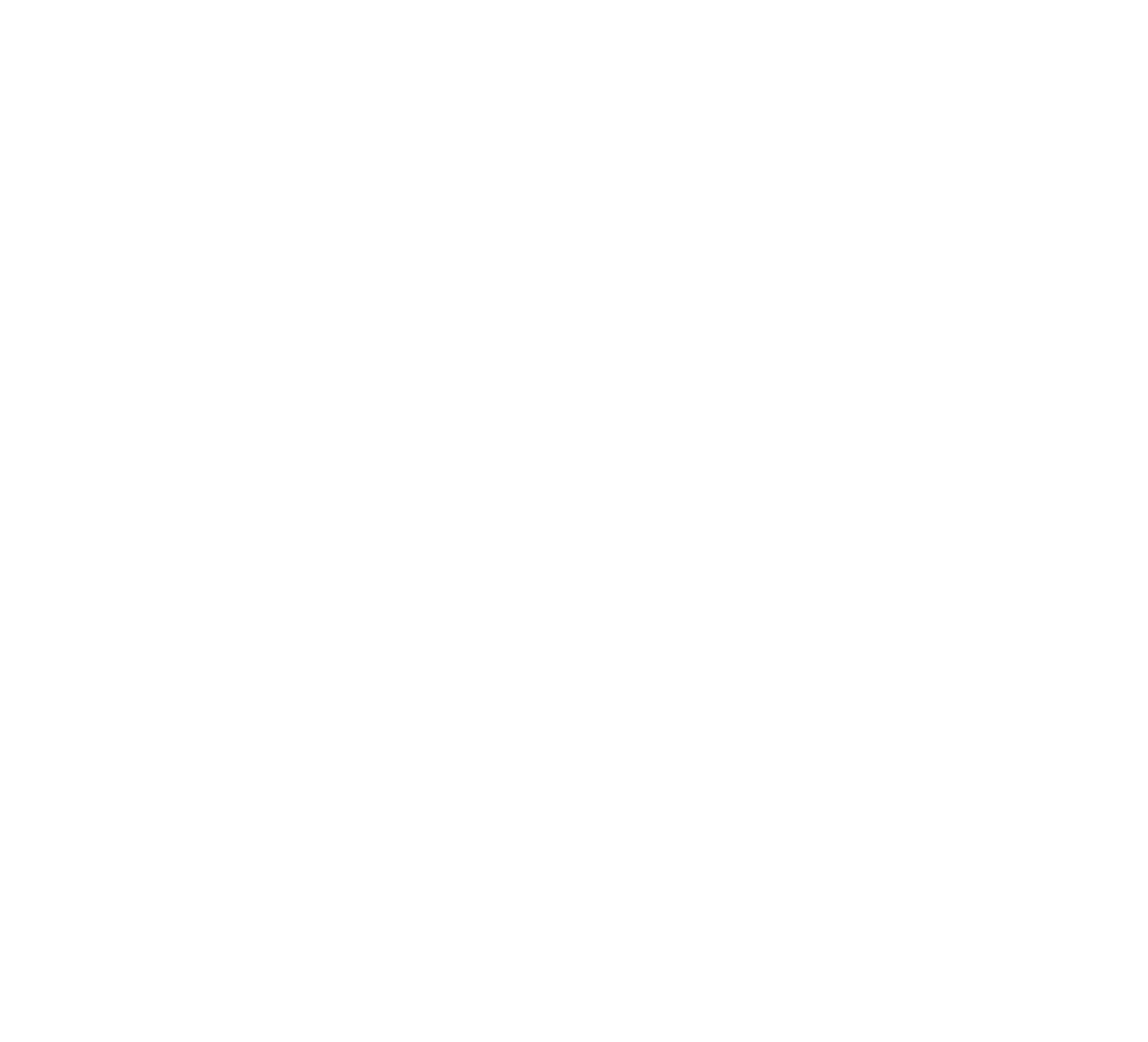 VizionVerse Partners