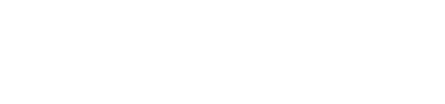 VizionVerse Partners