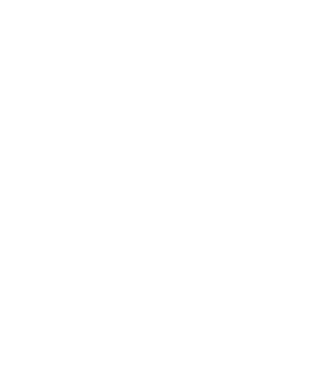 VizionVerse Icon
