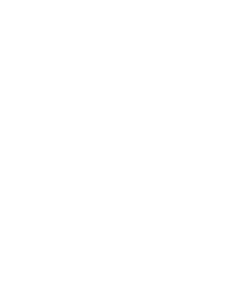 VizionVerse Partners